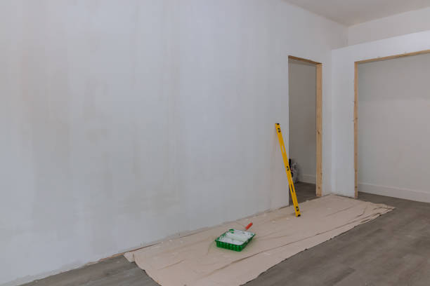 Best Drywall Texturing  in Hackberry, TX