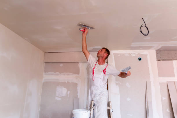 Best Painting for New Construction  in Hackberry, TX